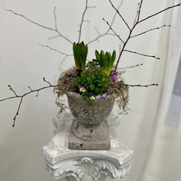 Vintage Bulb Garden by Westford Florist Art by Veny