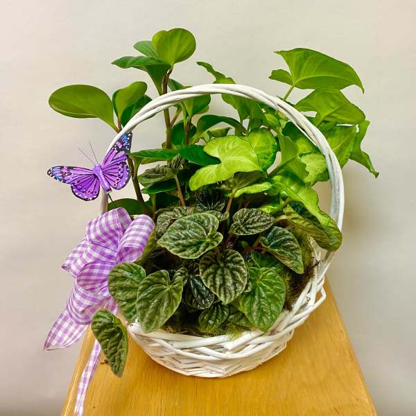 Mother's Day Plant Basket