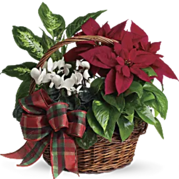 Holiday Basket