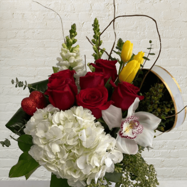 Forget Me Not - Regular 0071