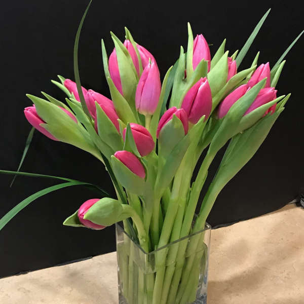 Tall arrangement of pink tulips in a clear rectangular glass vase against a dark background