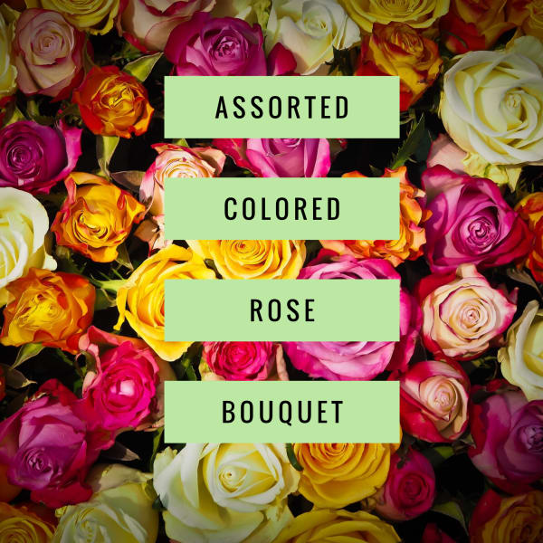 Assorted Colored Rose Bouquet