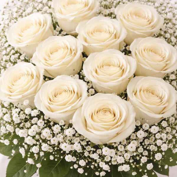 Valentine Roses (Pre- Order Red, Pink, Lavender, Yellow and White)