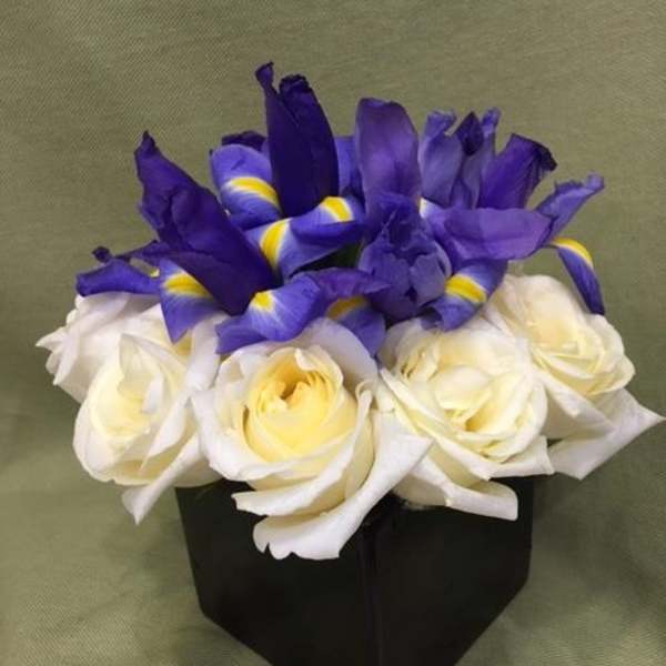 Compact arrangement of white roses and purple irises in a black cube vase