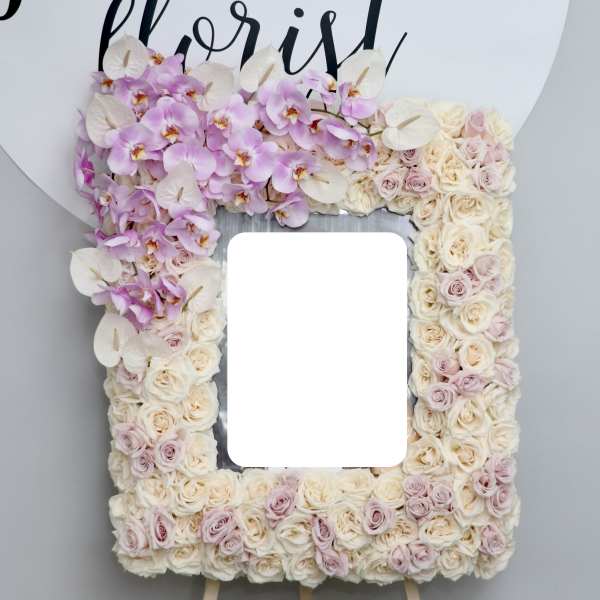 White and Pink Frame