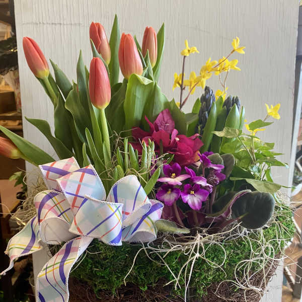 Premium Spring Garden