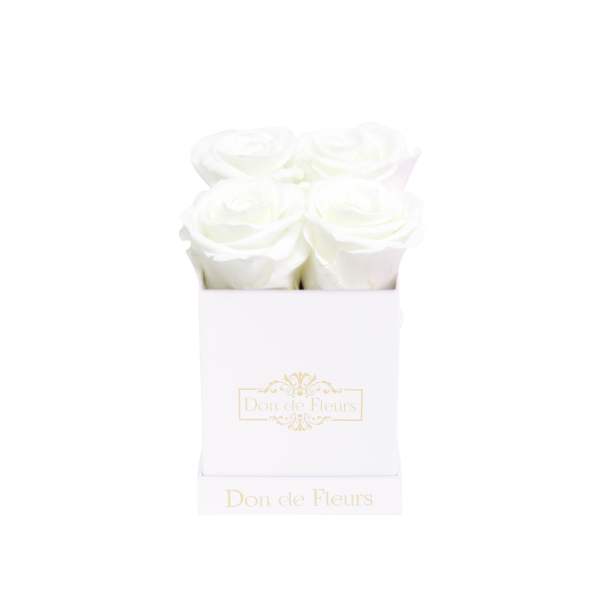 Petite White Square Preserved Rose-White