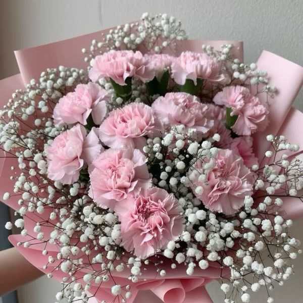Pink carnations hand bouquet with babysbreath.