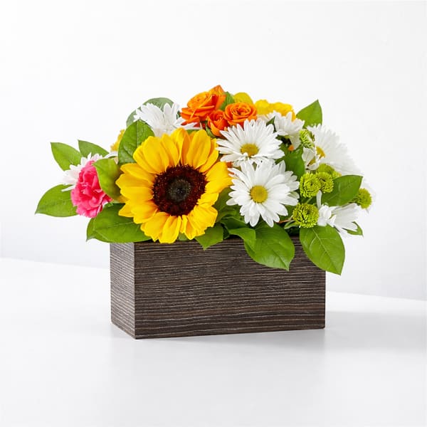 Sunflower Glow Wooden Box