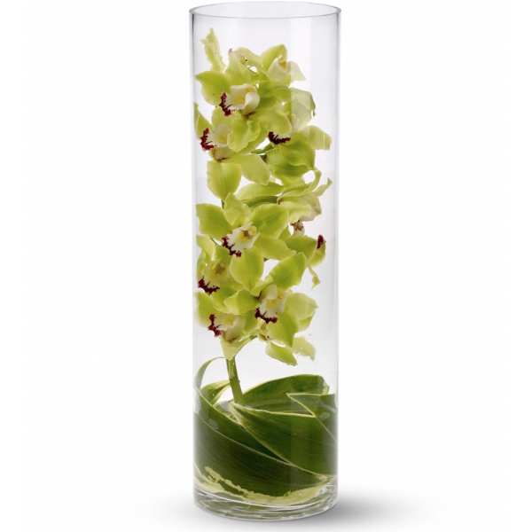 Tall glass cylinder with green cymbidium orchids and wrapped green leaves submerged in water