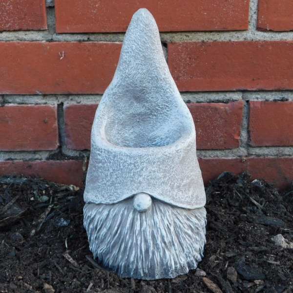 SUCCULENT GNOME