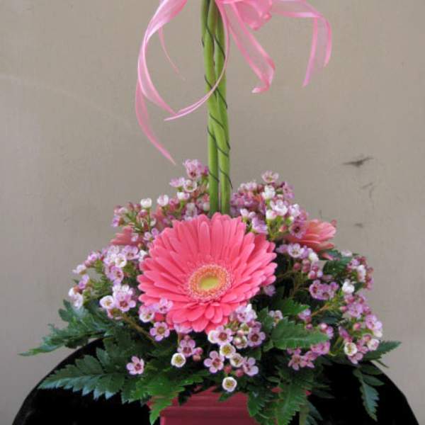 Pink Gerbera Topiary ARR0508