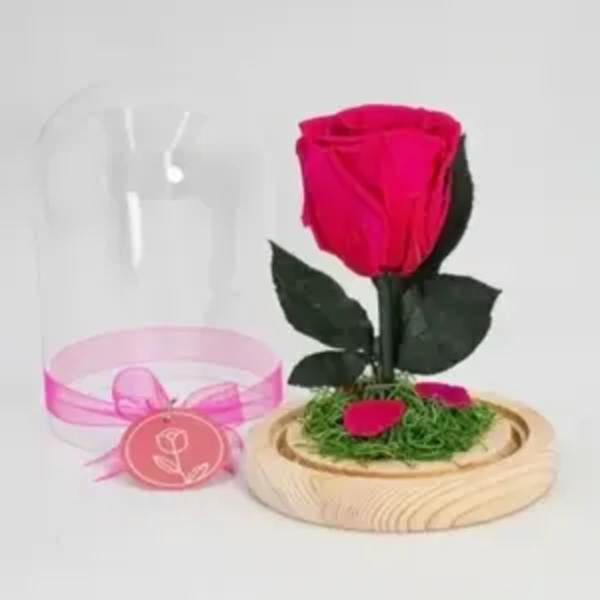 Pretty Bloom Preserved Fuhsia Rose (Height: 6.69 ")