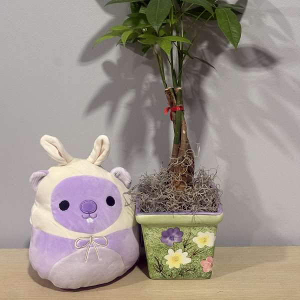 Money Tree & Easter Stuffie