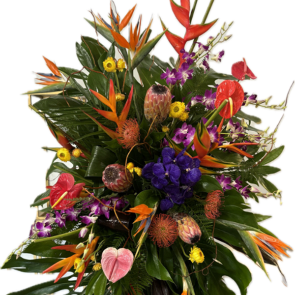 All things Tropical standing spray