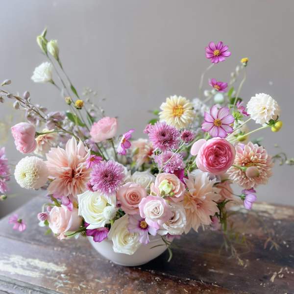 Sucre (Gallery Photo)