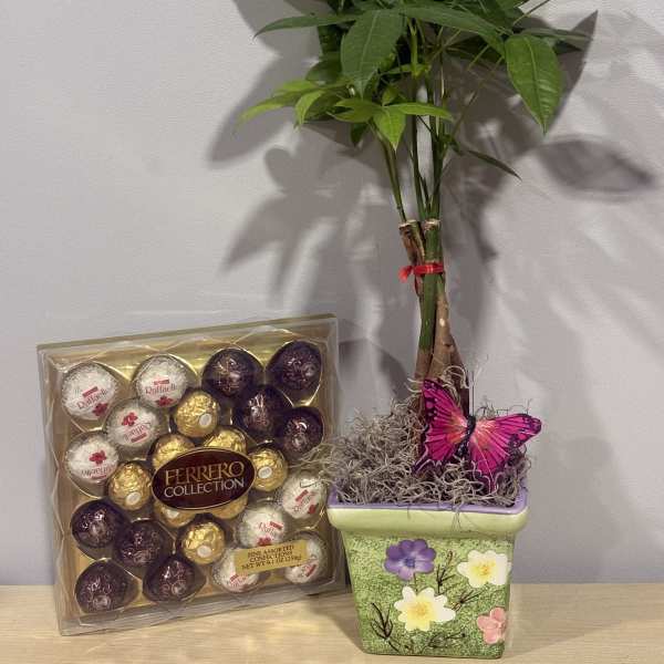 Spring Money Tree & Chocolates