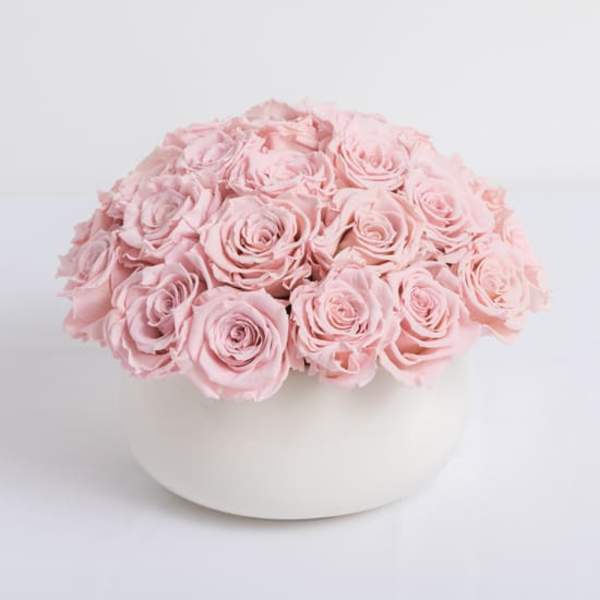 Large Pink Preserved Roses - Lasts a full year