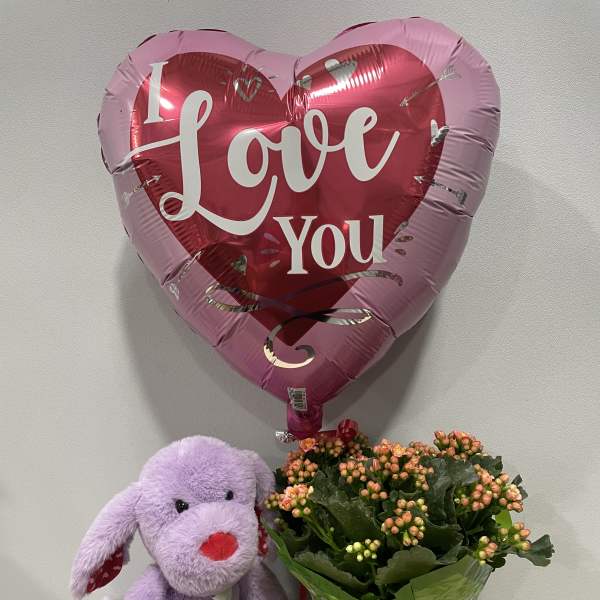 Kalanchoe & Puppy Love Trio