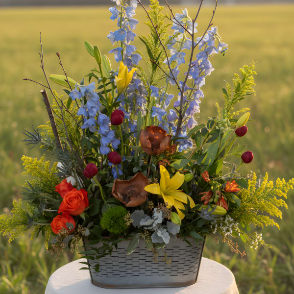 Lost in the Meadows (designers choice)