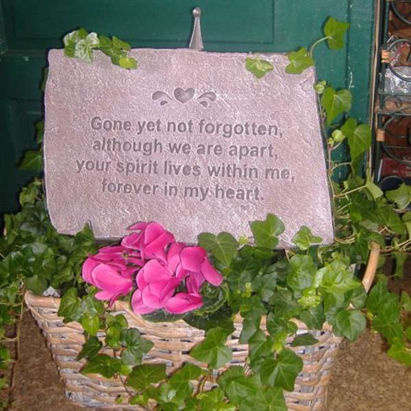 PLANT and STONE combo