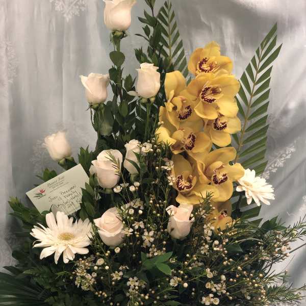 Pure Elegance - E30050