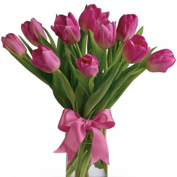 Precious Pink Tulips