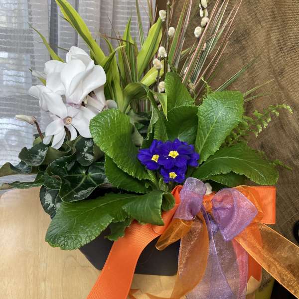 Made For You! European Dish Garden. A Floral Archist™ Original.