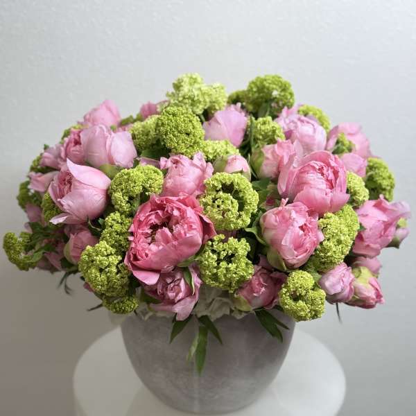 Peony Paradise