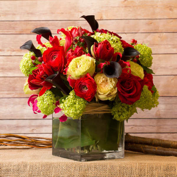 MIX SPRING ARRANGEMENT