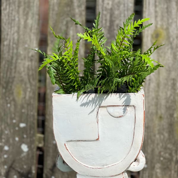 Picaso in White- small