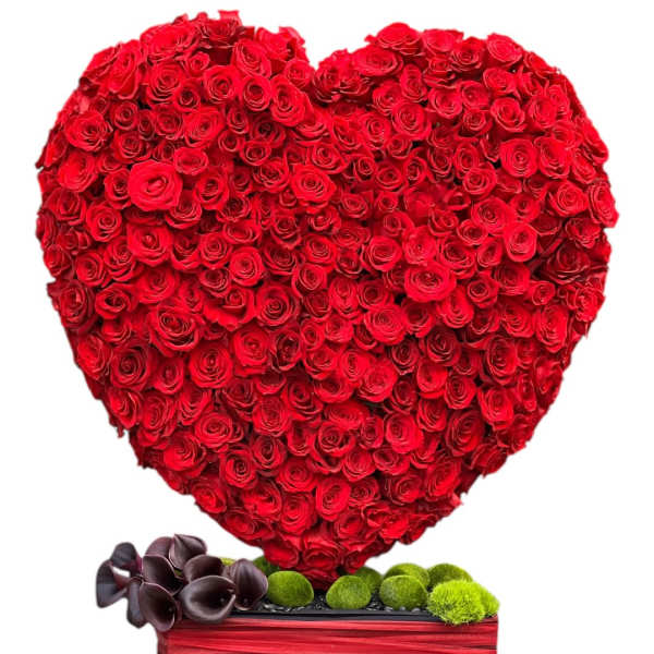 Heart-shaped arrangement of red roses in a red box with dark calla lilies and green moss balls