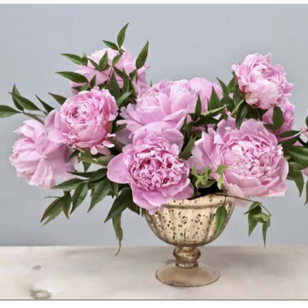 Low arrangement of pink peonies in a gold pedestal bowl
