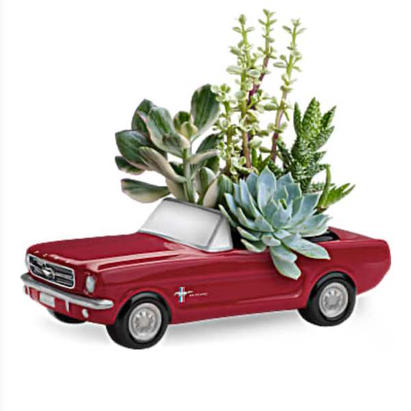 Succulent arrangement in a red toy pickup truck planter