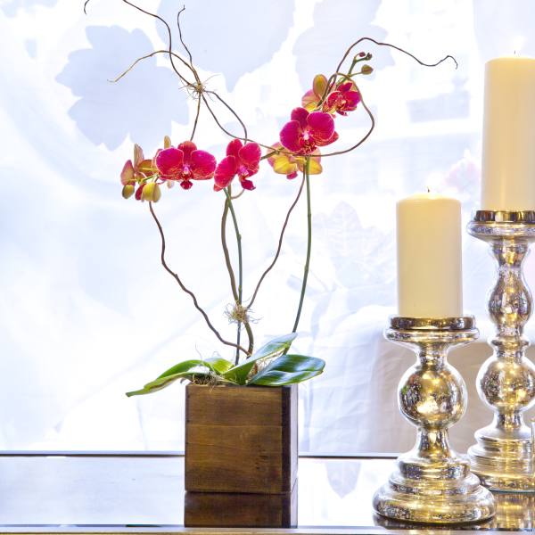 Orchid arrangement in a wooden cube with two candles beside it
