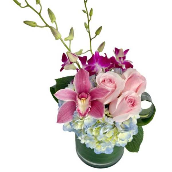 Compact arrangement of pink roses, orchids, and blue hydrangea in a clear cylinder vase
