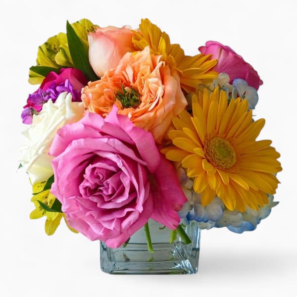 Compact bouquet of pink roses, yellow gerbera daisies, and mixed blooms in a clear glass cube vase