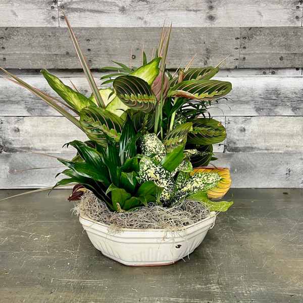 Tropical foliage arrangement in a white oval planter