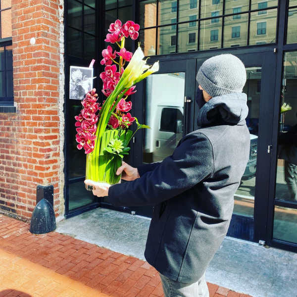 House of the Rising Sun