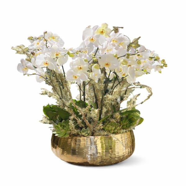 White orchids in a gold bowl with succulents and moss