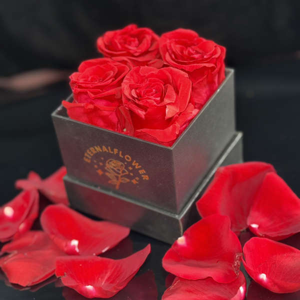 Red roses in a black square box with scattered rose petals