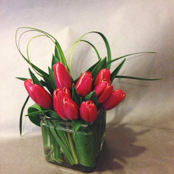 Red tulips arranged in a square glass vase with looping grass