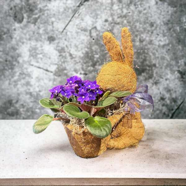 Purple potted flowers in a bunny-shaped planter with a ribbon