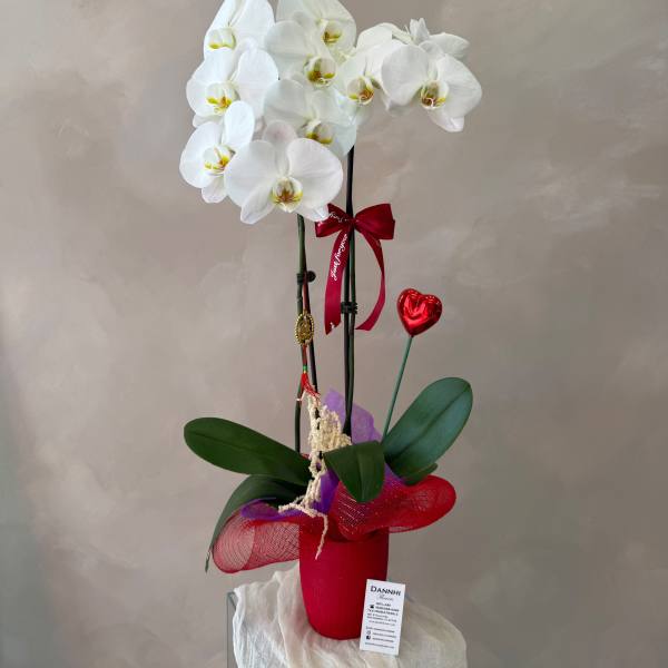 Orchids Arrangement 09