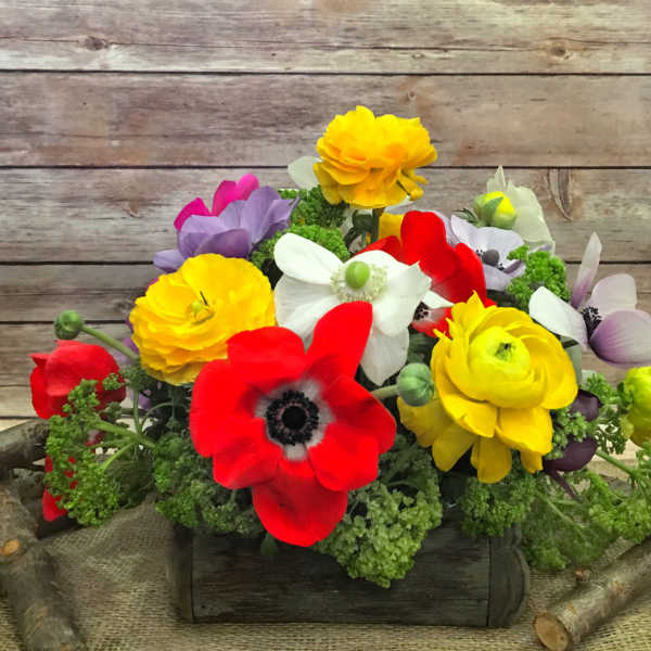 Bright mixed bouquet with red, yellow, white, and purple flowers