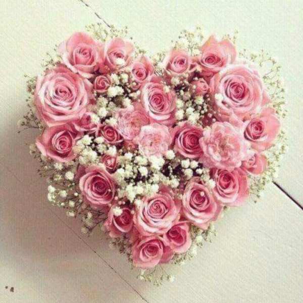 Beautiful pink flowers box