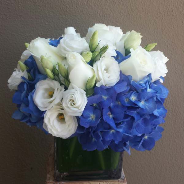 White roses and blue hydrangeas in a square glass vase