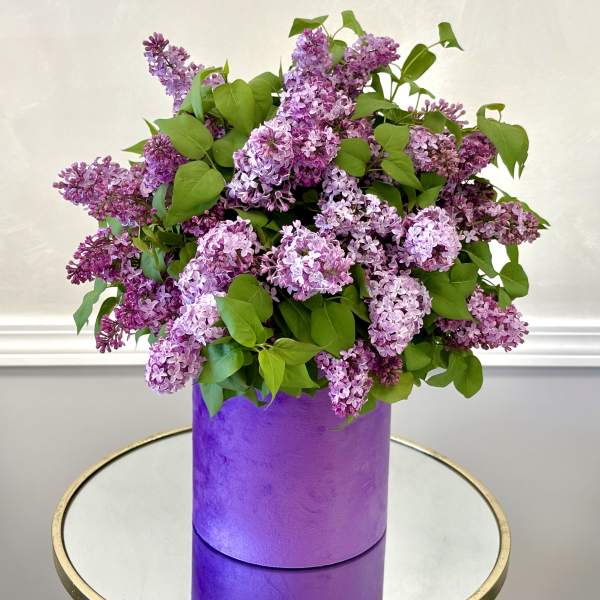 Lilac Hat Box By VLM Flowers