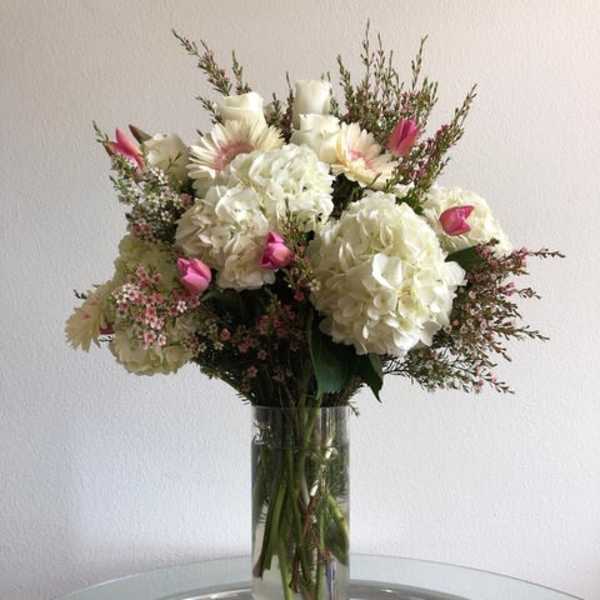 Fairies in White Forest