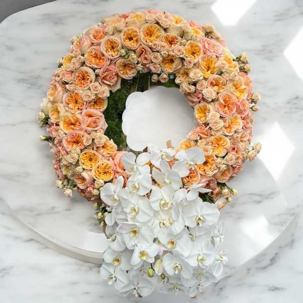 Sympathy Sixty-Three